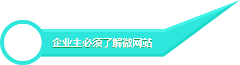 微網(wǎng)站開發(fā)