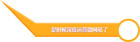 微網(wǎng)站開發(fā)公司